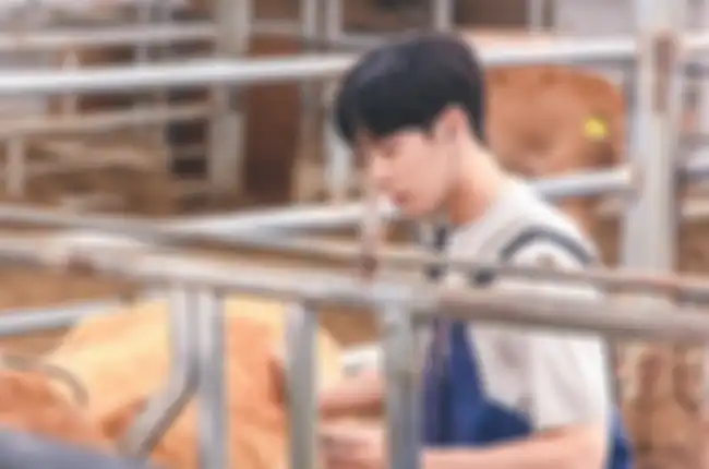 drama Korea Accidental Country Diary