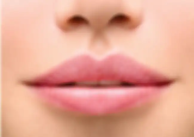 bibir biasa