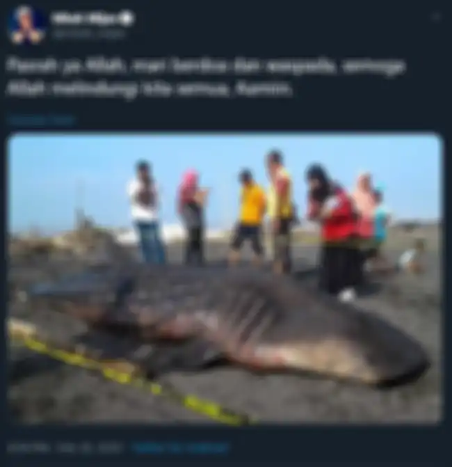 Unggahan Mbah Mijan soal hiu paus terdampar.