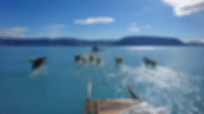  Lautan Es di Greenland Mencair