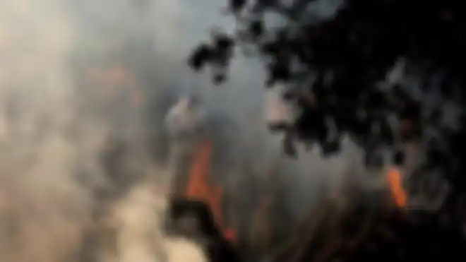 Petugas di India melakukan kremasi di tempat umum.