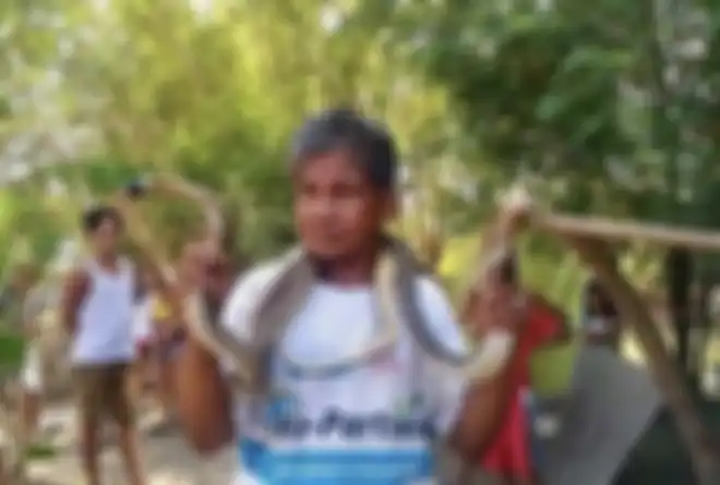 Bernardo Alvarez, pria yang tewas digigit ular kobra.