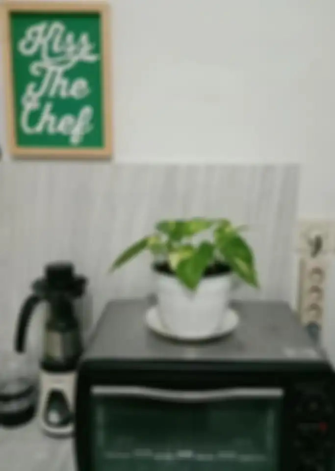 Foto desain dapur mungil tampak semakin segar. Ternyata 7 tamana hias ini jadi solusi. Masalah area masak pun teratasi. 