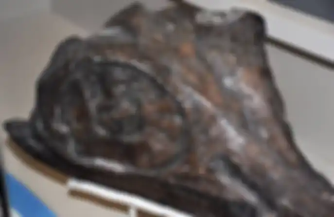 lchthyosaurus