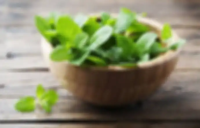 Daun peppermint