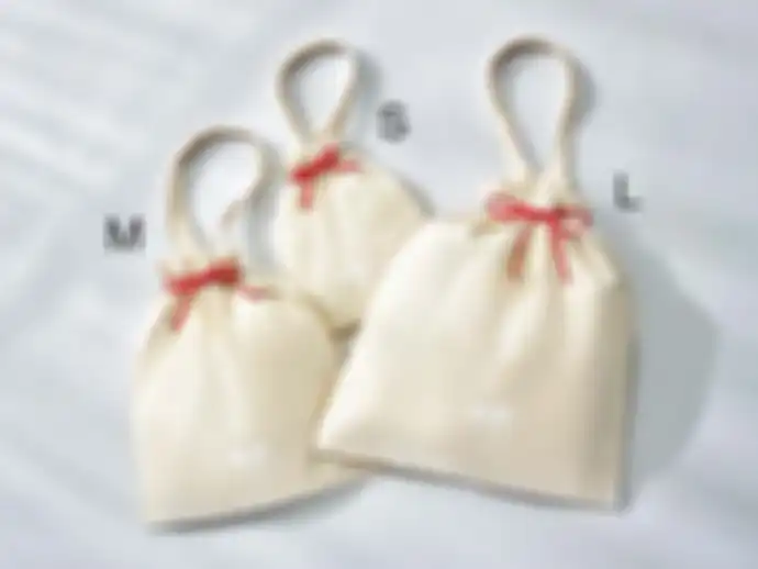 Gift Bag UNIQLO