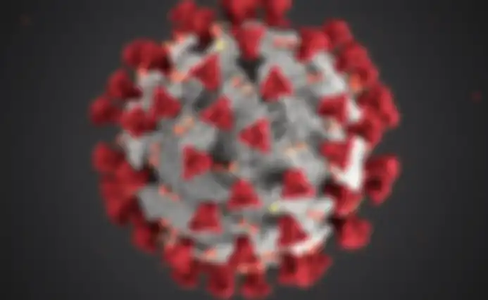 WHO Disebut Lamban Dalam Tangani Virus Covid-19, Hingga Sebuah Penyelidikan Internasional Juga Simpulan Pandemi Ini Pure Kesalahan China, Kenapa?