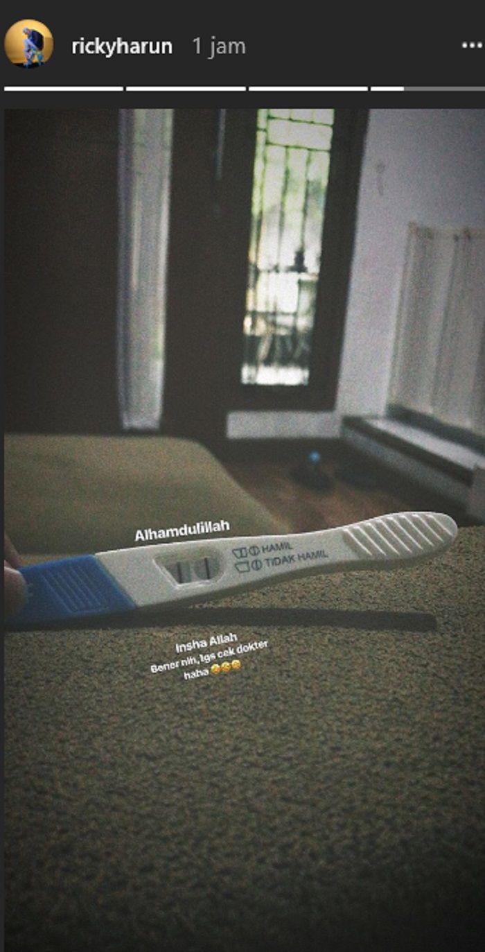 Ricky Harun bagikan tes kehamilan Herviza