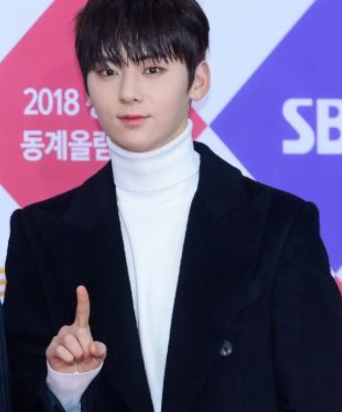 Hwang Min Hyun Wanna One