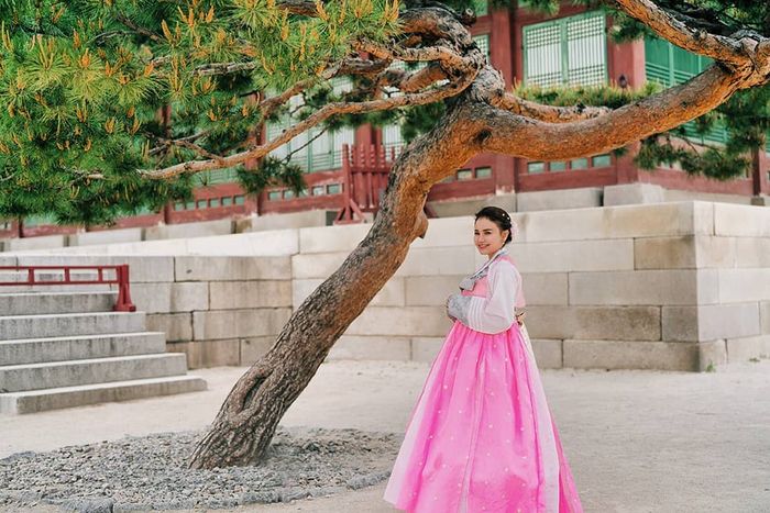 Rossa terlihat anggun dalam balutan Hanbok berwarna pink