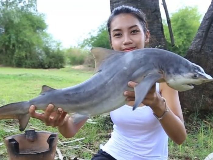 YouTuber Memakan Hiu