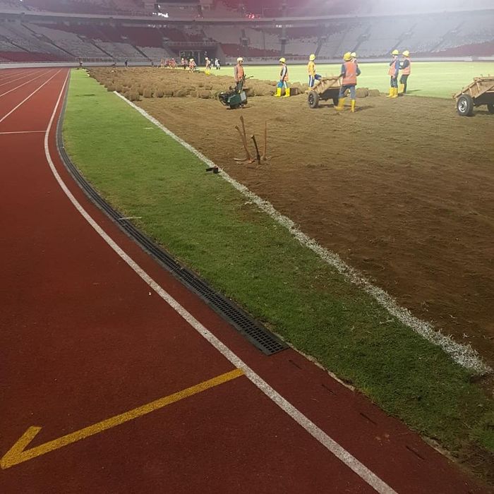 Proses penggulungan rumput stadion SUGBK.