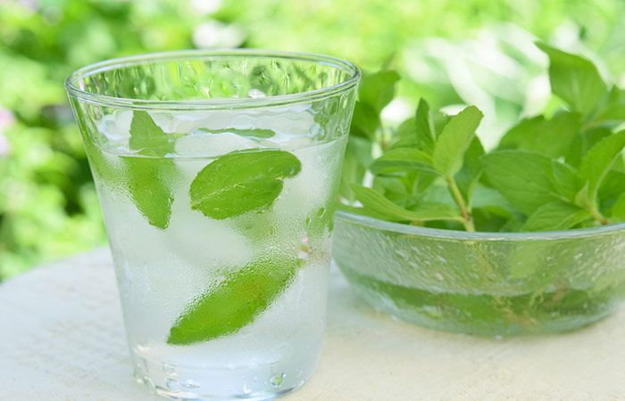 Refreshing mint