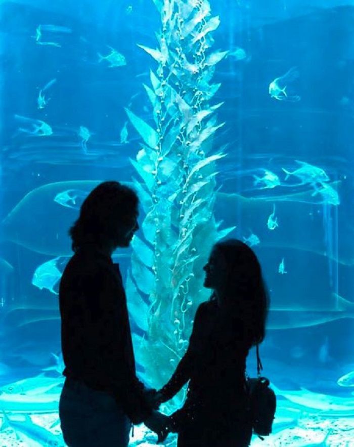 Marsha Aruan dan El Rumi lagi bikin para jomblo iri nih!