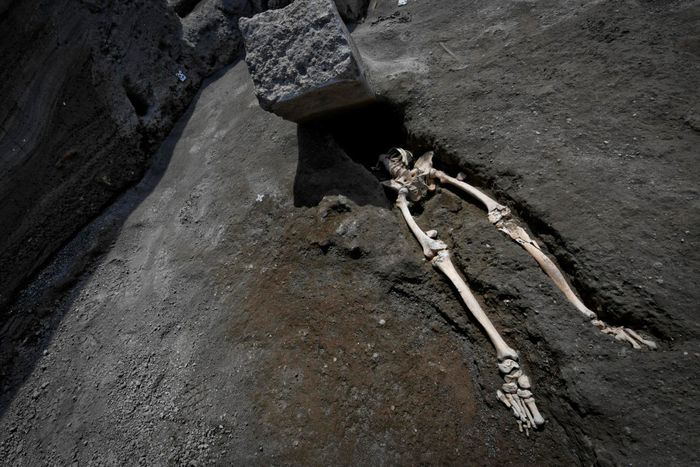 Kerangka manusia yang tertimpa batu saat ingin melarikan diri dari letusan Gunung Vesuvius.