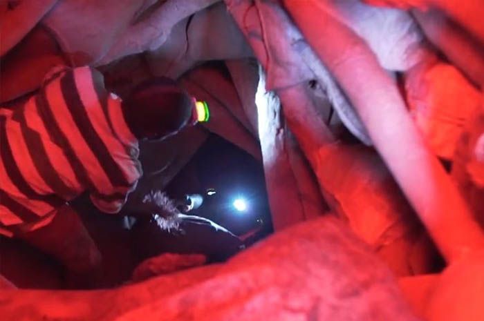 Para penggali kobalt