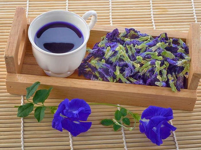 Bunga telang, bahan dasar dari blue tea atau teh biru