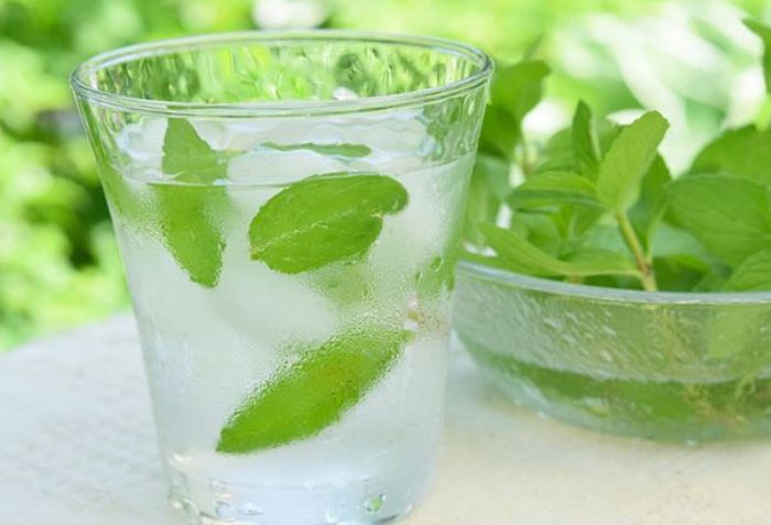 Air daun mint