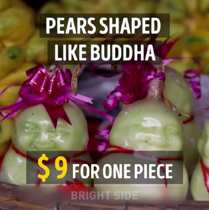 Buah pir berbentuk seperti Buddha