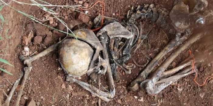 Fasilitas penelitian 'Ladang Mayat' di Texas