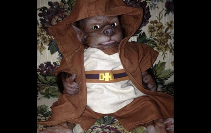 Koleksi Boneka Yvette Soloman