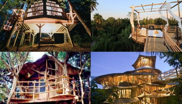 Penginapan model rumah pohon