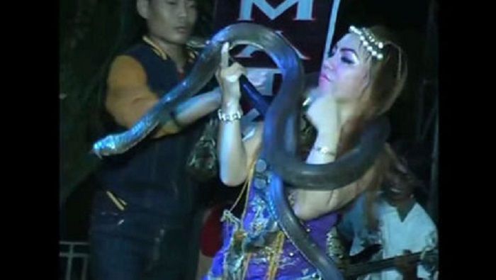 Artis dangdut Irma Bule yang meninggal dipatuk ular peliharaannya