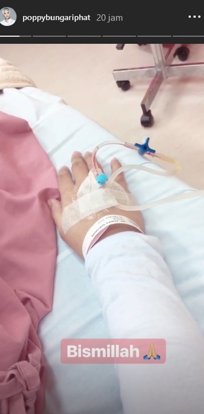 Unggahan Poppy Bunga