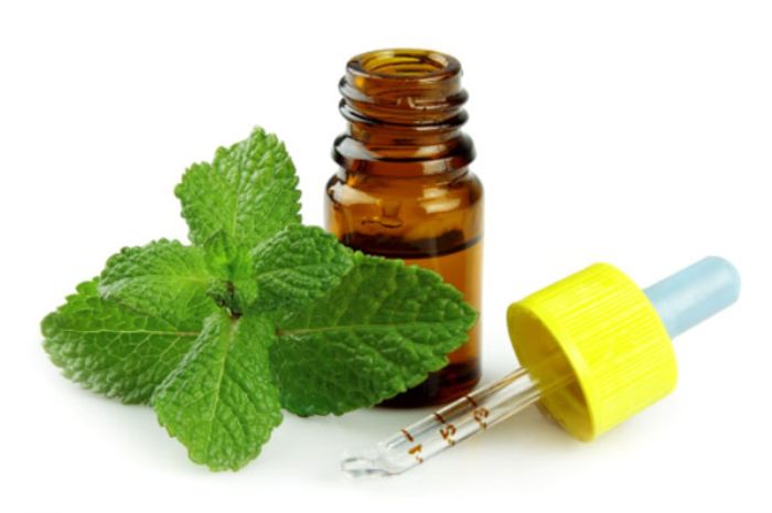 Minyak Esensial Peppermint