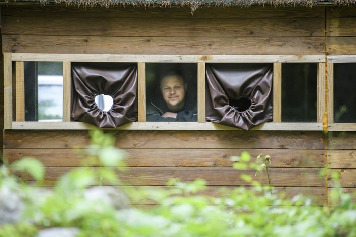 Mlakar membangun 20 tempat persembunyian untuk mengamati beruang di hutan.