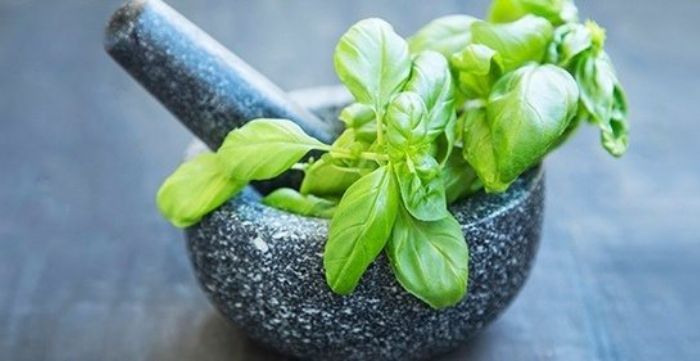 Hanya dengan Daun Kemangi, Komedo di Wajah Ampuh Teratasi!