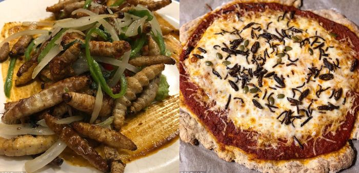 Berbagai makanan berbasis serangga