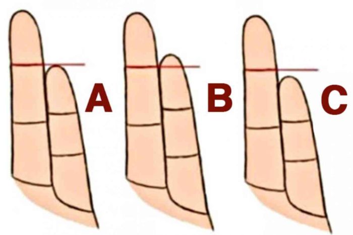 Bentuk jari manis dan kelingking bisa cerminkan kepribadian, mana yang jadi milikmu?