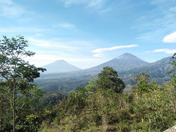 Gunung Sindoro dan Sumbing