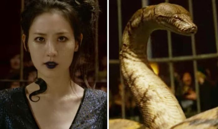 Nagini dalam Fantastic Beast: The Crimes of Grindelwald