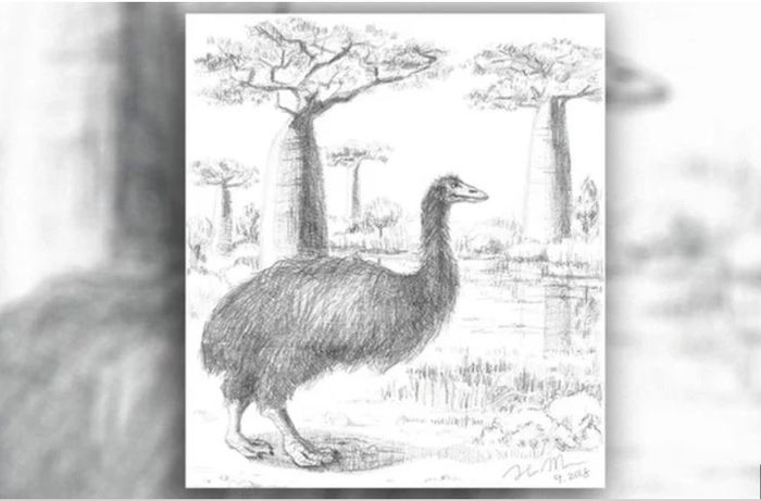 Ilustrasi Vorombe Titan