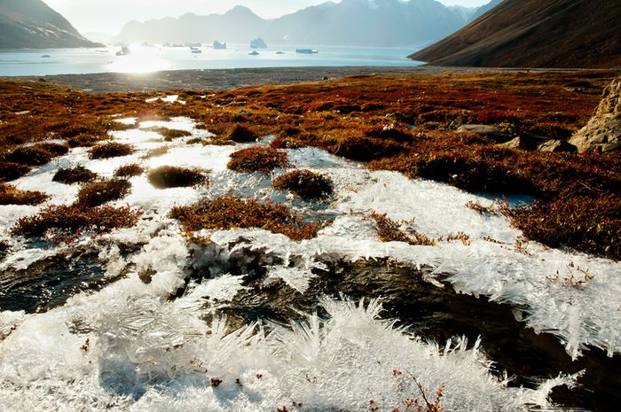 Ilustrasi permafrost.