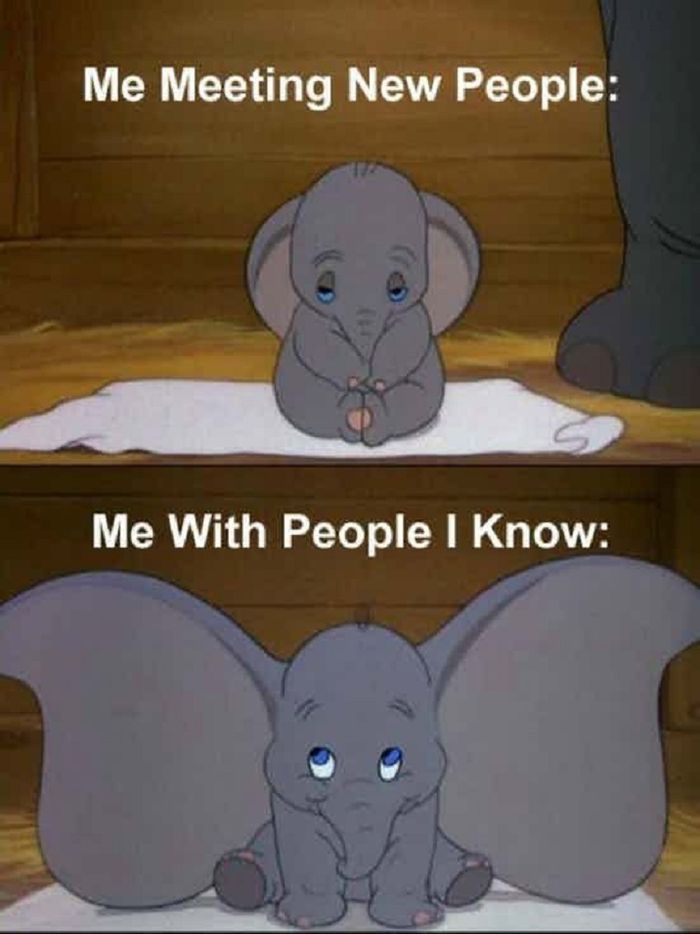 meme introvert (1)