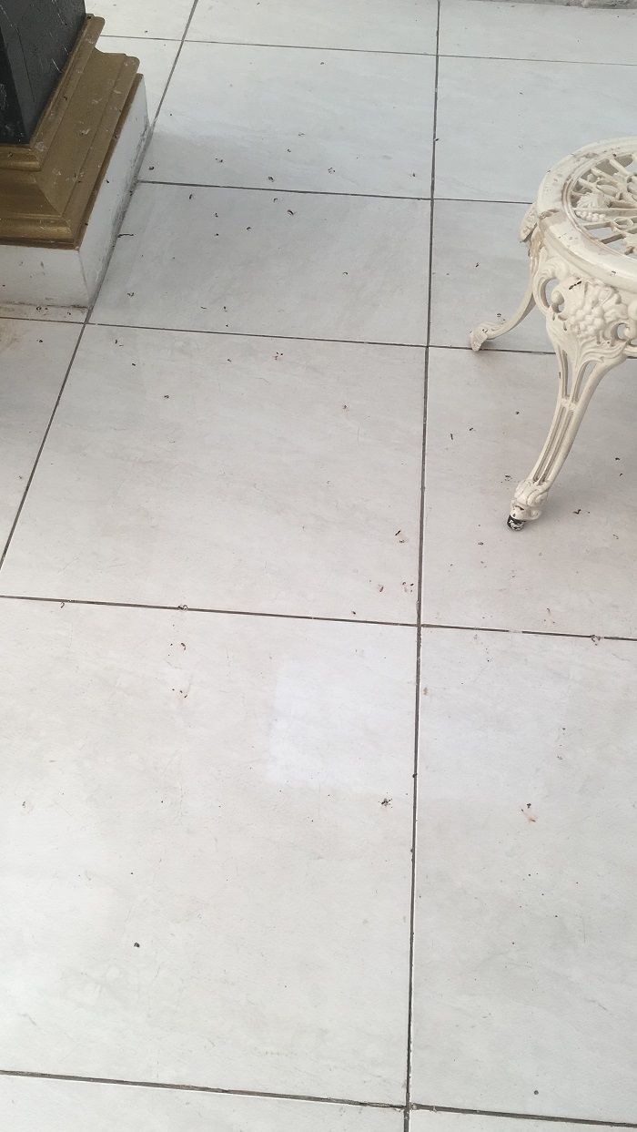 Lantai rumah Roro Fitria tampak kotor.