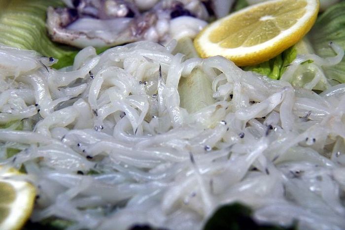 Angulas, salah satu makanan paling mahal di Spanyol.