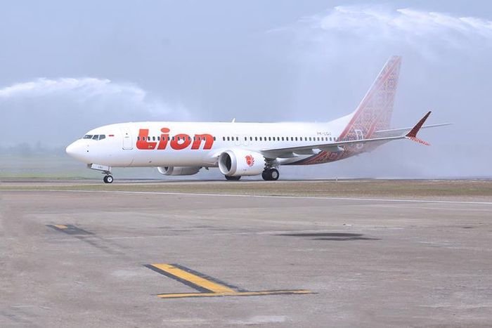 penampilan pesawat lion air max 8