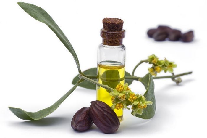 Minyak Jojoba atau Jojoba Oil untuk Mengatasi Rambut Ketombe dan Gatal