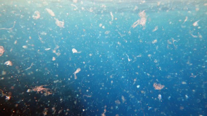 Ilustrasi mikroplastik yang mengapung di lautan