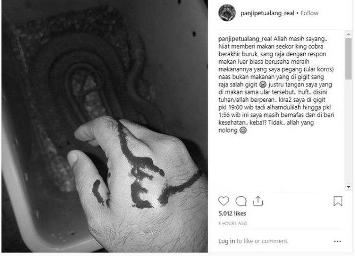 Postingan Panji Petualang setelah digigit king cobra