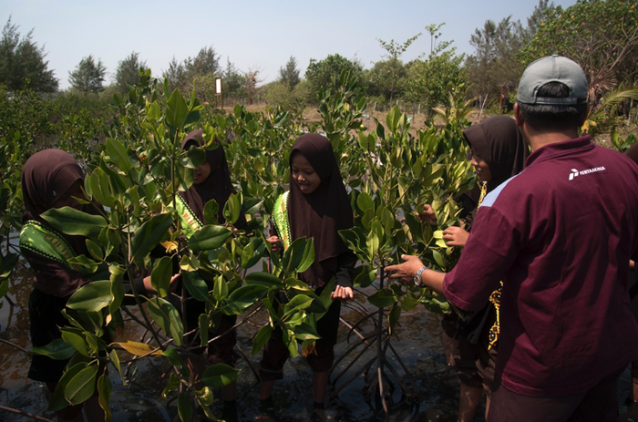 Belajar langsung ke lapangan.