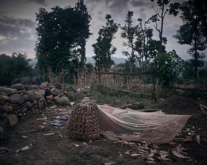 Beberapa bahkan tinggal di 'gubuk' seadanya seperti ini.