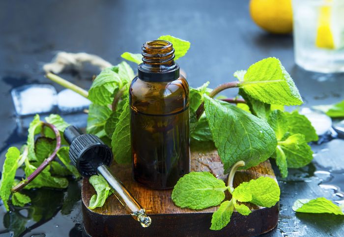 Aroma peppermint dapat membantu Anda mengendalikan rasa lapar.