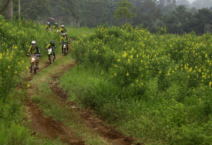 Disuguhi pemandangan alam.