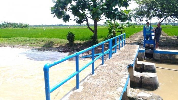 Lokasi ditemukannya mayat wanita tanpa identitas di sungai irigasi Kendal