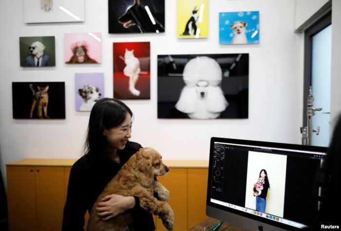 Seorang perempuan melihat foto-foto dirinya dan anjing kesayangannya di sebuah studio di Seoul.